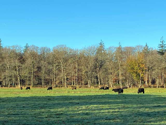 Domein Merkemveld en Doeveren